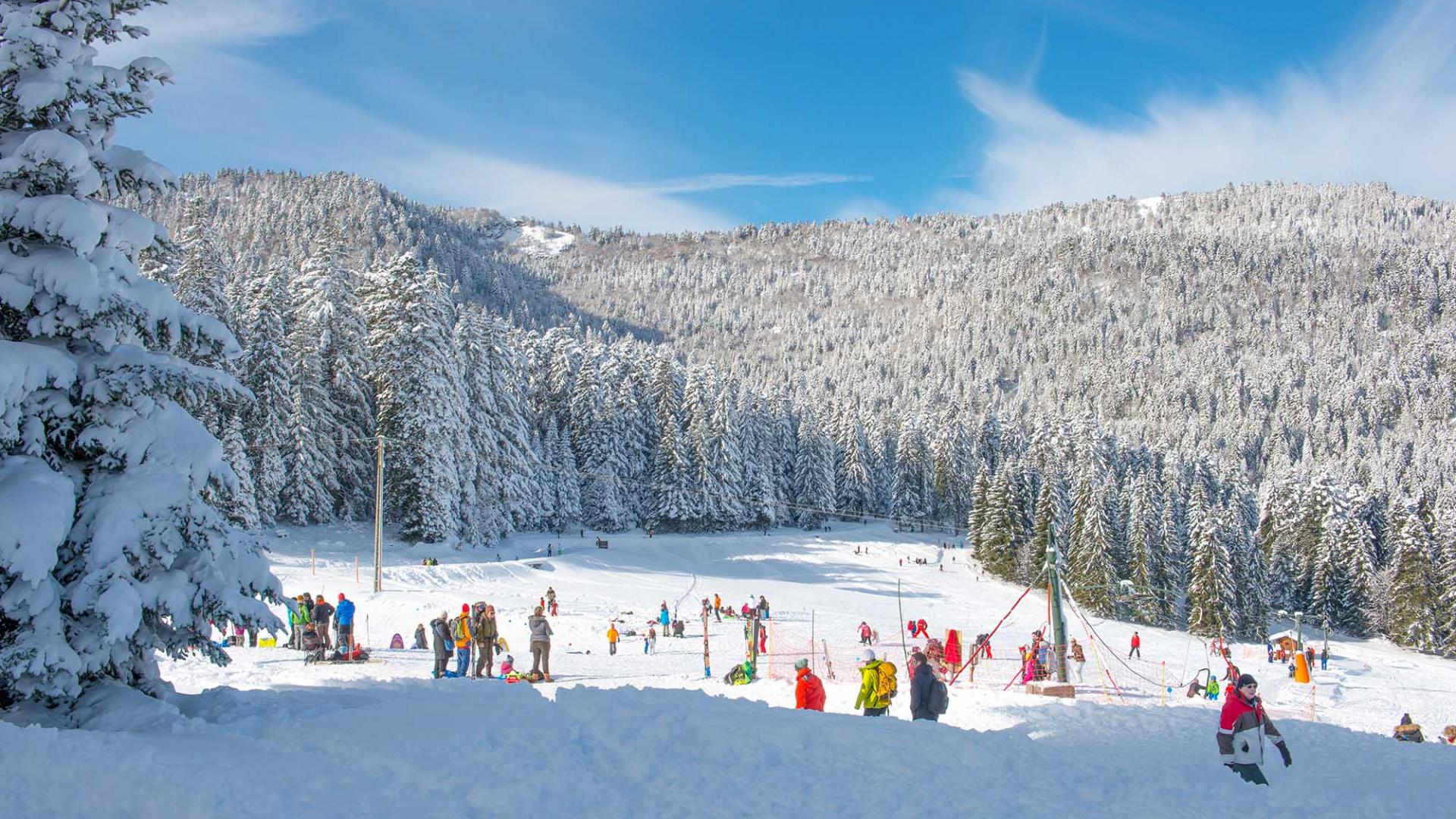 Col De Porte Ski Luge2