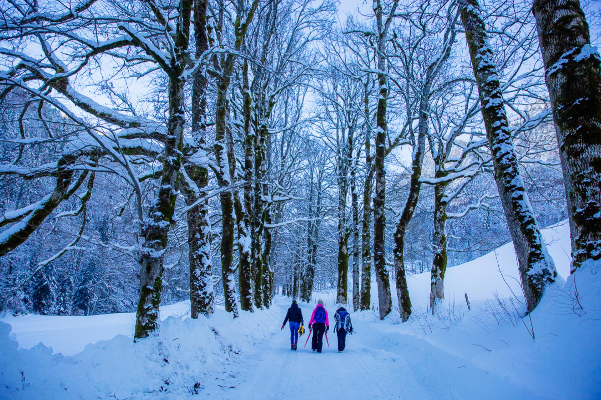 Balades à SaintPierre de Chartreuse une journée neige entre filles