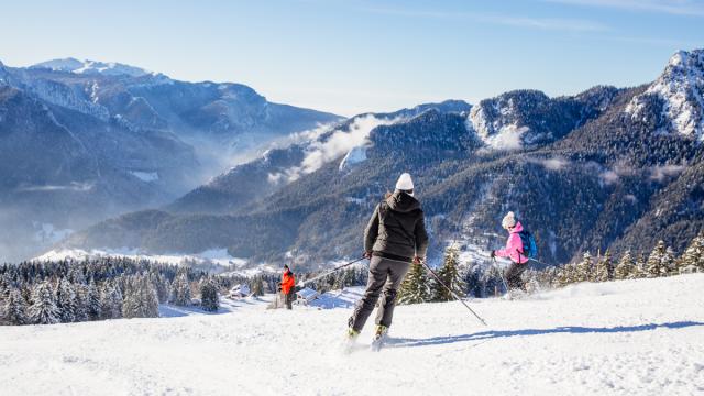 Ski Alpin Chartreuse
