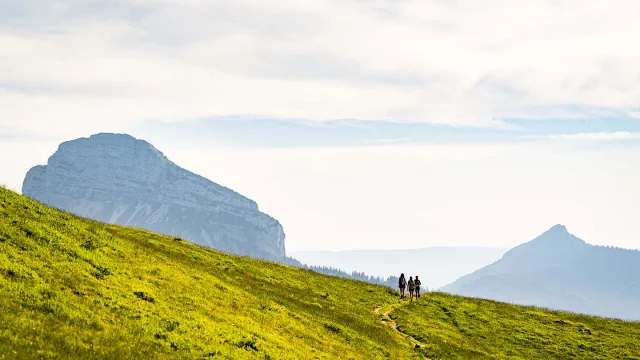 Alpage Pravouta Rando Chartreuse