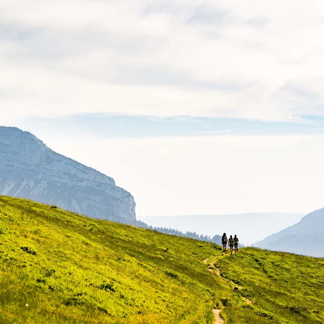 Alpage Pravouta Rando Chartreuse