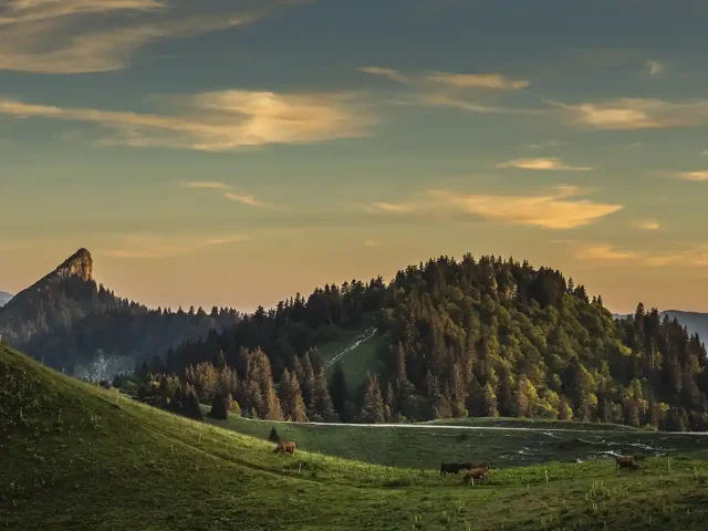 Depuis la route du Charmant Som, face à la Pinéa