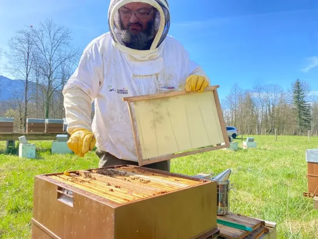 Matthieu Zurdo Apiculteur